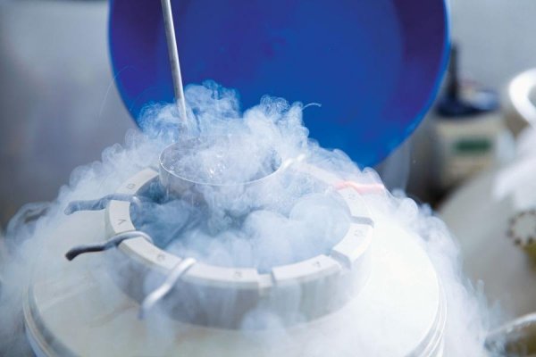 196c2e8d-1e3c-4b3e-b4d0-daf829eb9861_900x