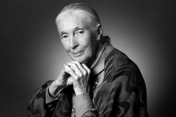 Jane Goodall