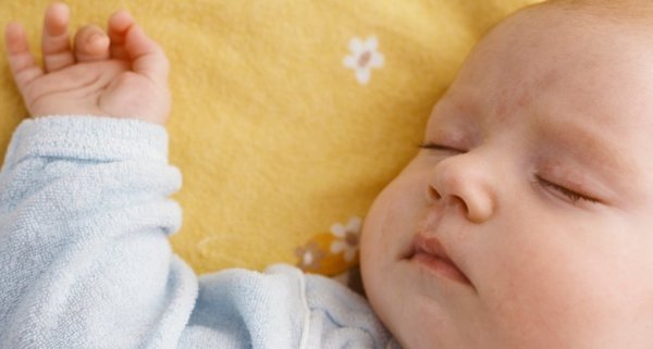 Kép: https://www.sciencenews.org