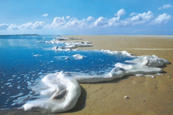 Kép: https://www.newscientist.com