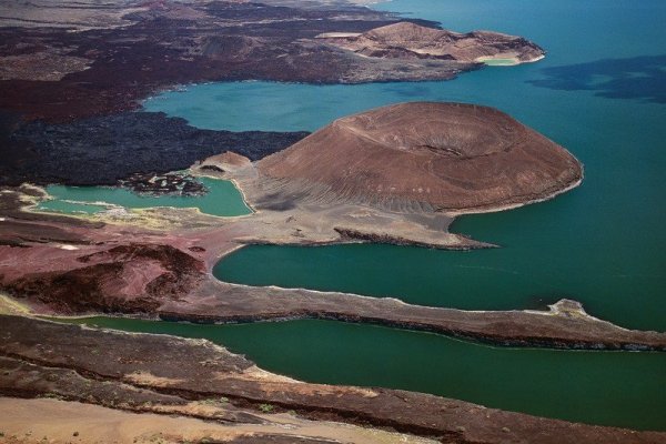 Kép: https://www.newscientist.com