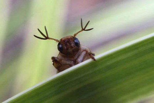 Kép: http://www.wired.co.uk