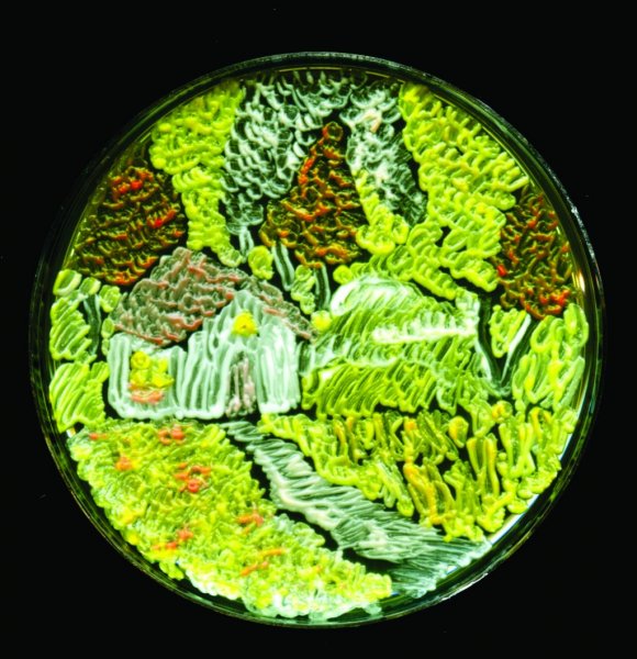 Aratási szezon /Kép: http://qz.com