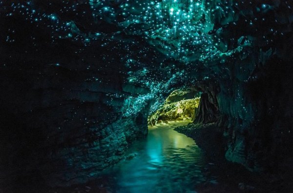 Waitomo-barlang, Új-Zéland /Kép: http://www.nationalgeographic.nl