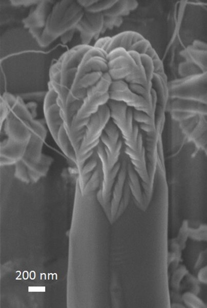 Egy mikro-fém virág